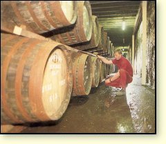 Picture: Casks at Bowmore