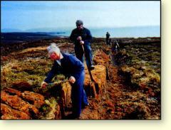 Cutting peat